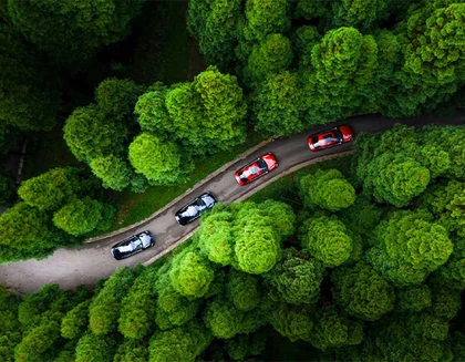 vier BYD FAhrzeuge fahren auf einer Straße umringt von Bäumen